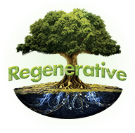 Regenerative